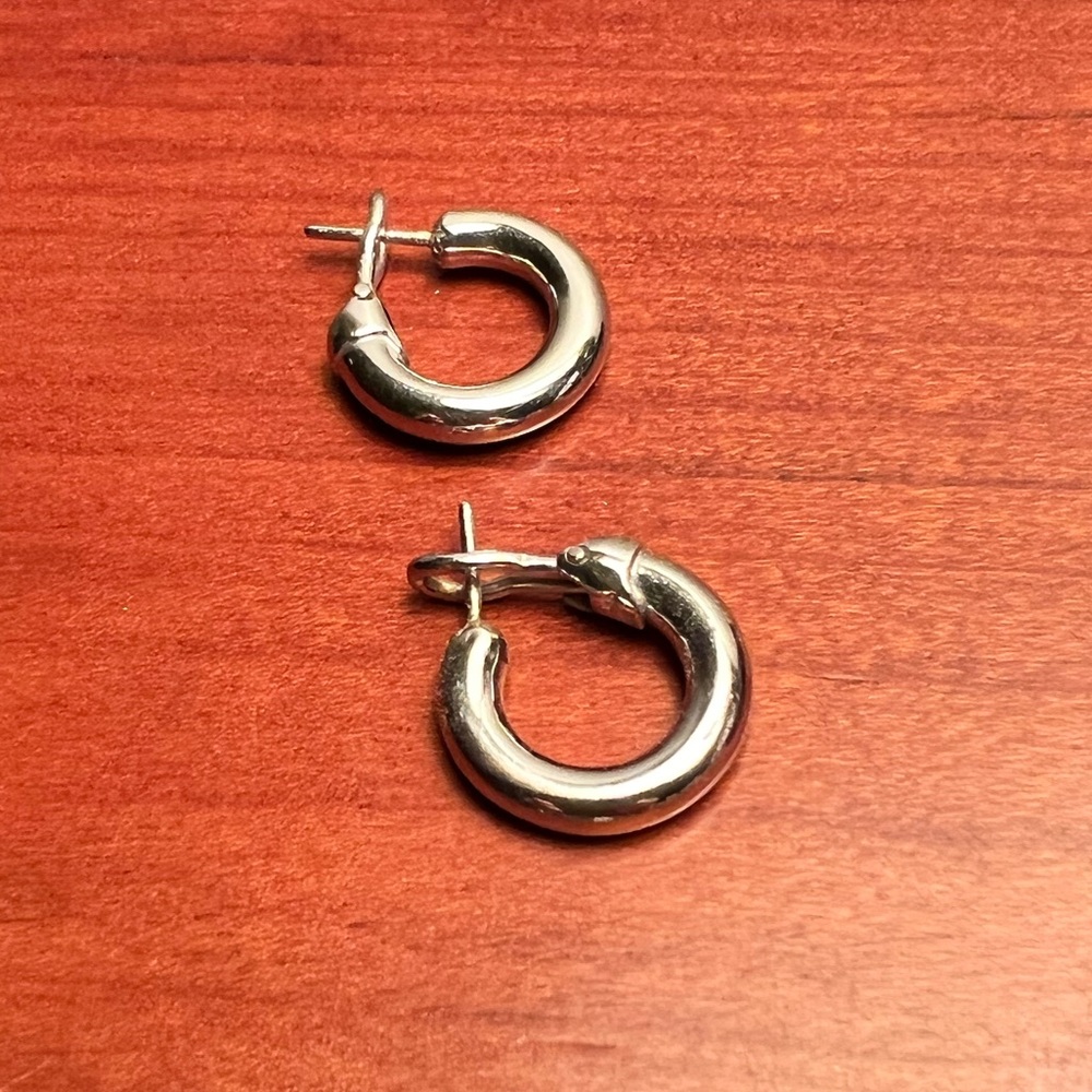 Elegant Silver Hoop Earrings